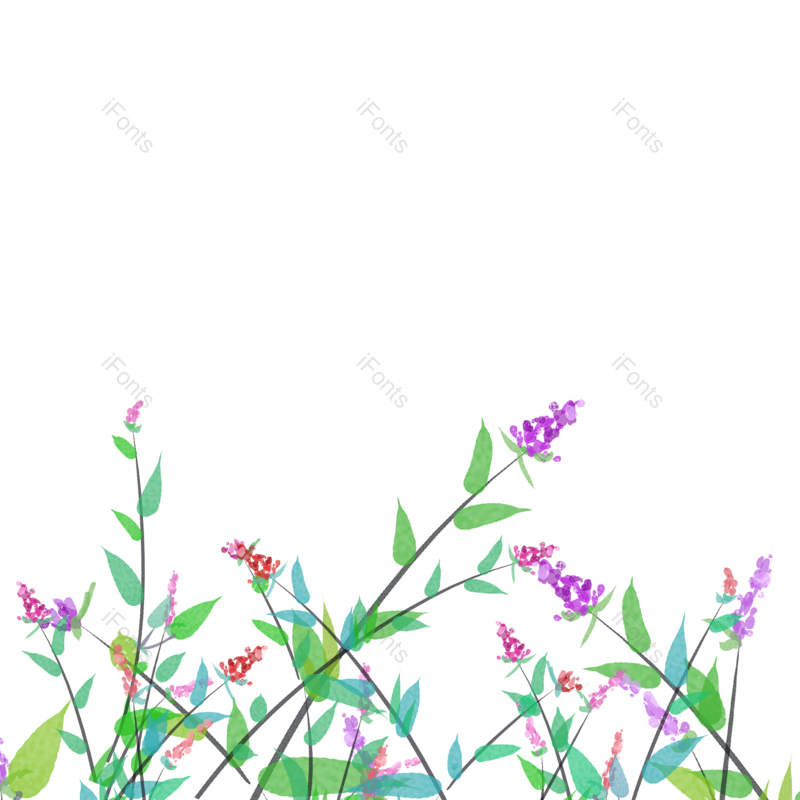 花草图片,花朵元素,鲜花PNG,花草装饰免抠素材